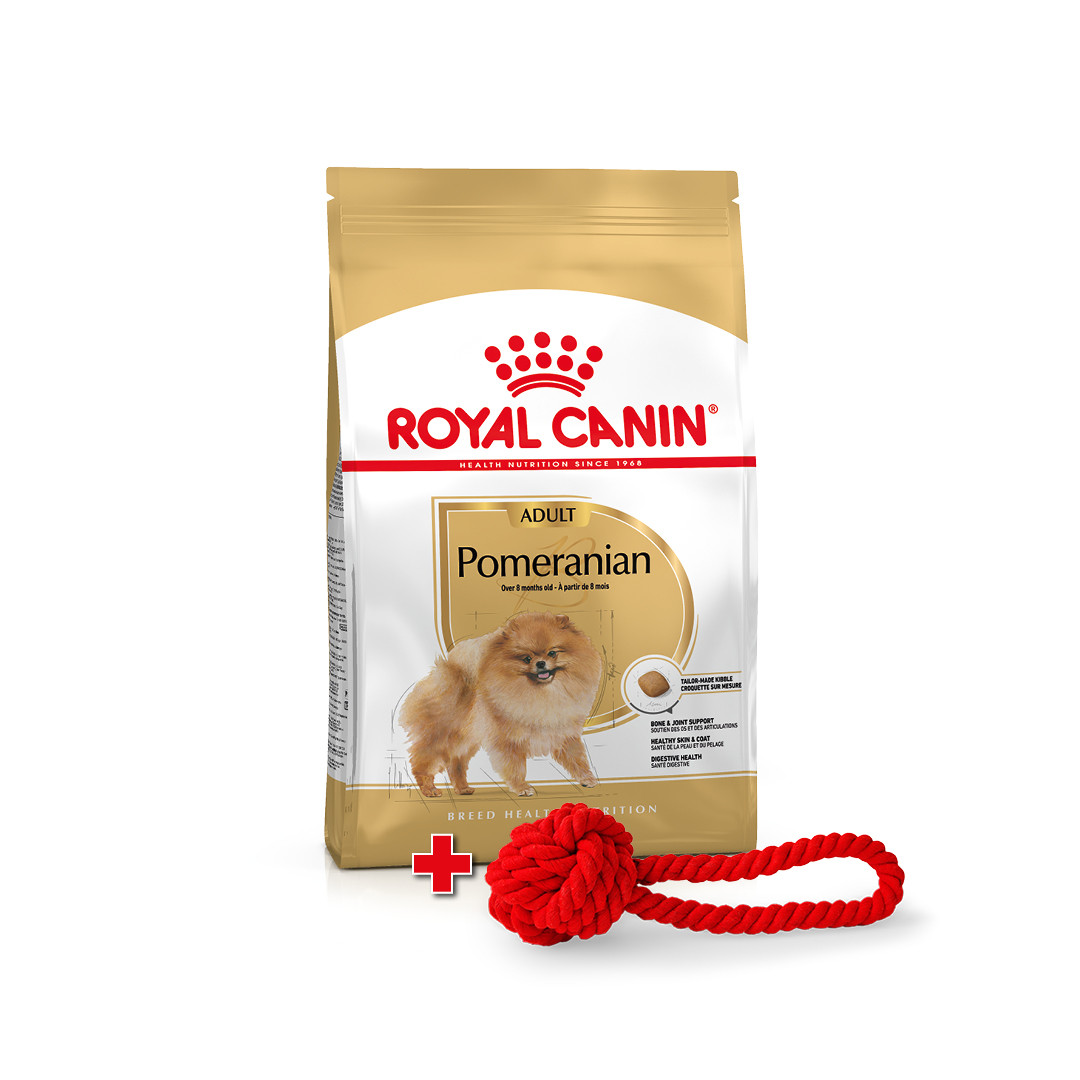 Акція! Іграшка у подарунок! Royal Canin Pomeranian Adult сухий корм для дорослих собак породи Померанський Шпіц, 1.5КГ
