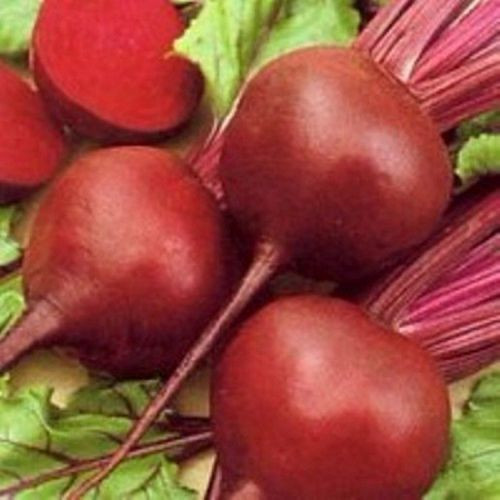 Буряк "Бордо Харківський" 3г