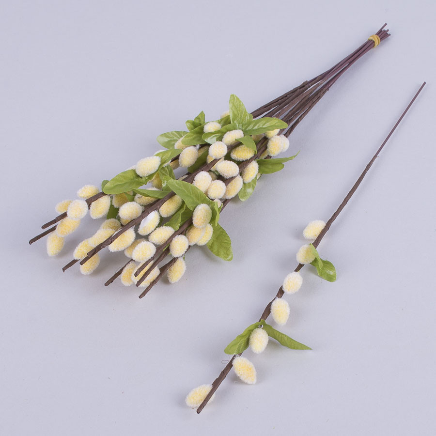 Верба декоративна, фото 1