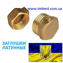 Заглушки під пломбу латунні