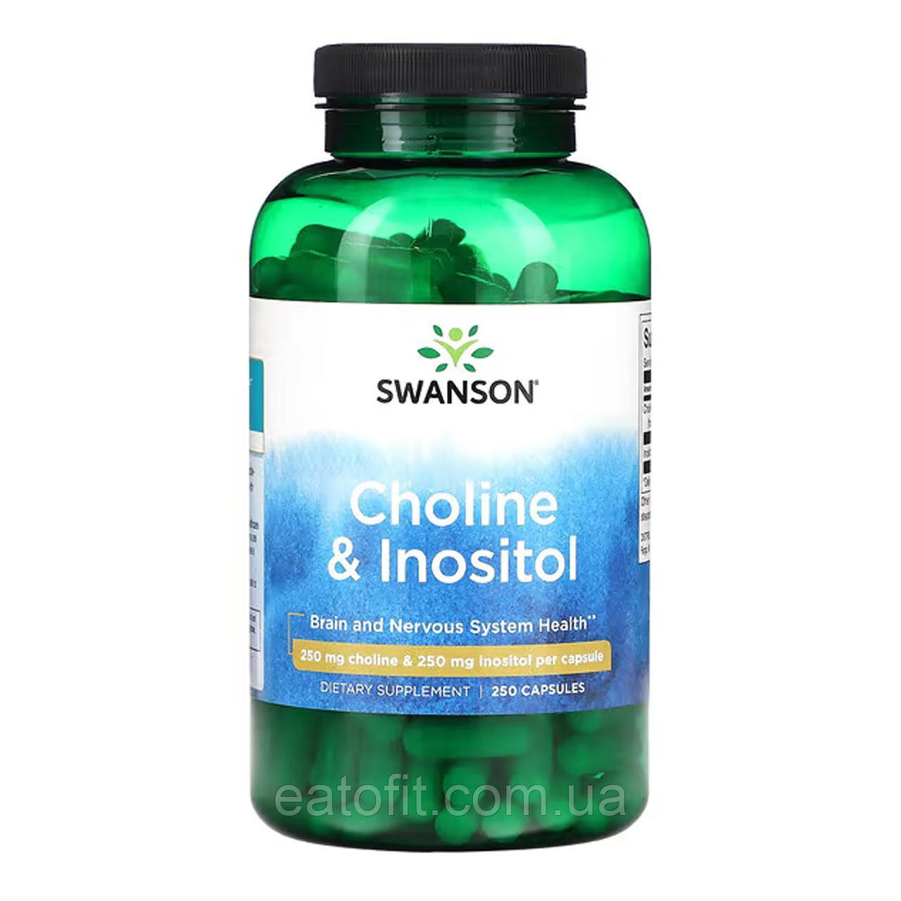 Холін з інозитолом (Choline&Inositol) 250 мг, 250 капсул SWV-01039