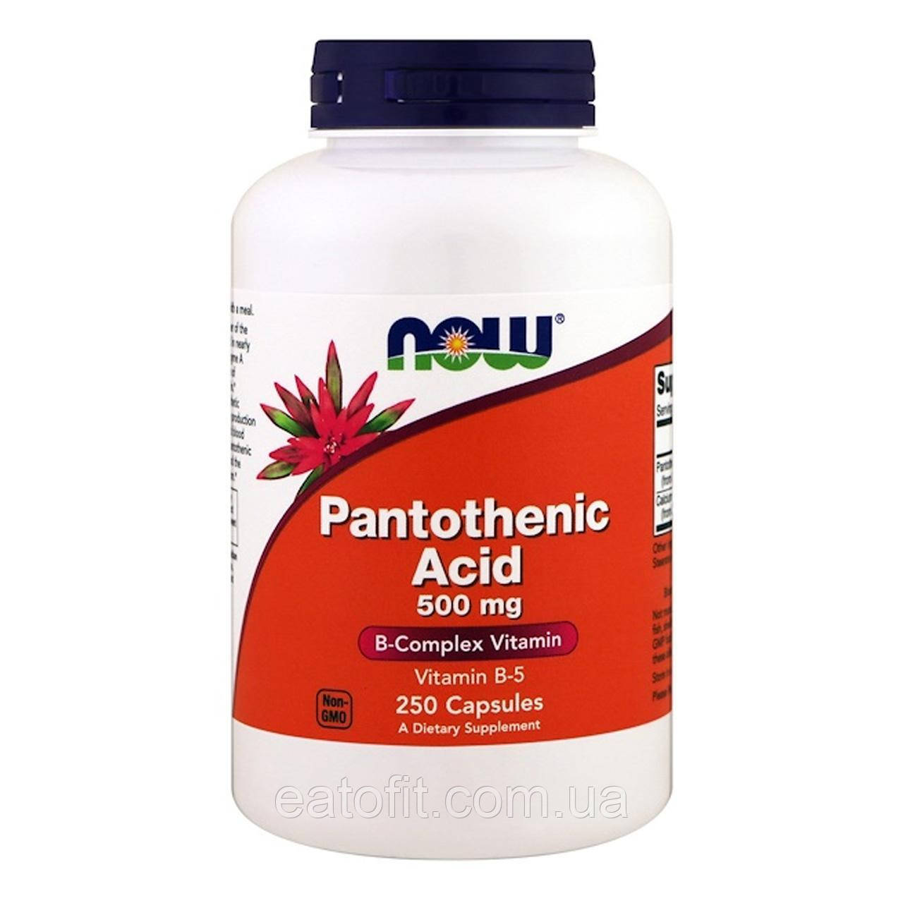 Пантотенова кислота (Pantothenic acid) 500 мг 250 капсул NOW-00488