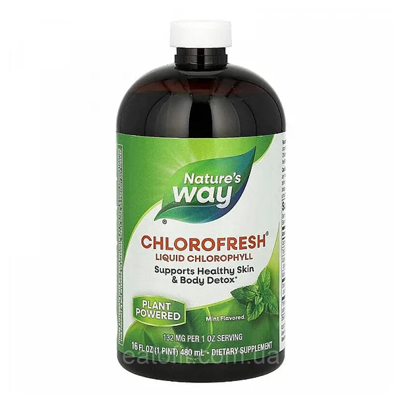 Рідкий хлорофіл (Chlorofresh) 473.2 мл зі смаком м'яти NWY-03501
