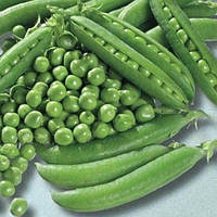 Горох "Іловецький"
