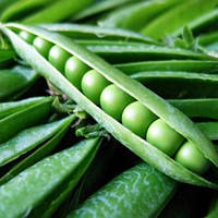 Горох "Джоф"