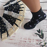 Шкарпетки жіночі ALBA різнокольорові в зірочки 37-39р | 12 пар, фото 2