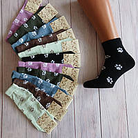 Шкарпетки жіночі ALBA різнокольорові лапки 37-39р | 12 пар