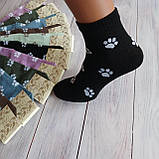 Шкарпетки жіночі ALBA різнокольорові лапки 37-39р | 12 пар, фото 2