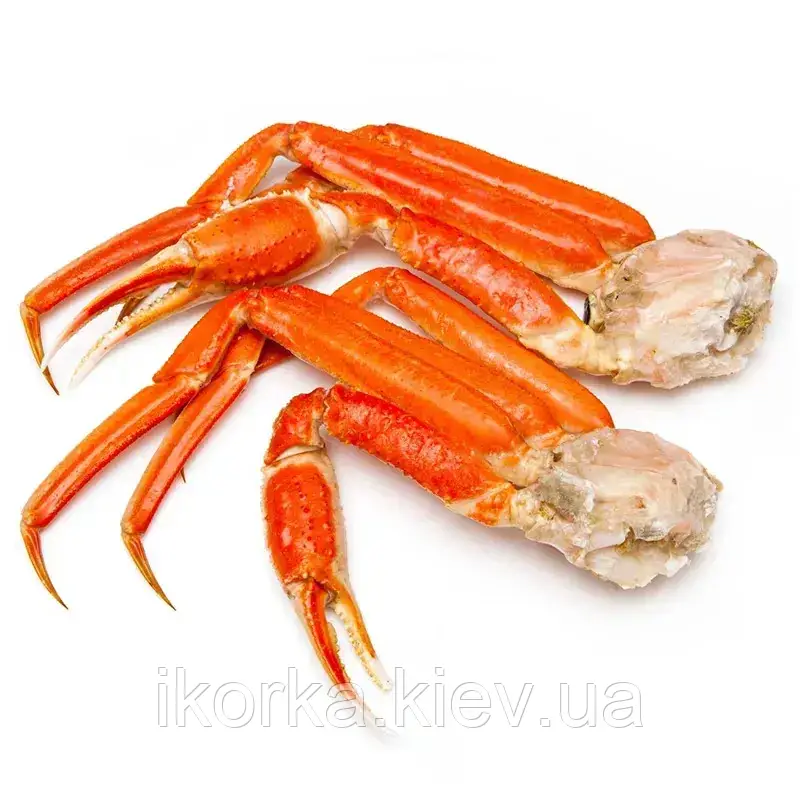 М'ясо сніжного краба в панцирі, фото 1
