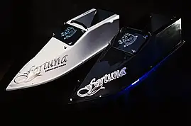 Кораблик Фортуна з GPS автопілотом Fortuna X та ехолотом Toslon300 на 45000mAh, фото 4