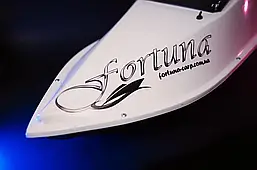 Кораблик Фортуна з GPS автопілотом Fortuna X на 45000mAh, фото 5