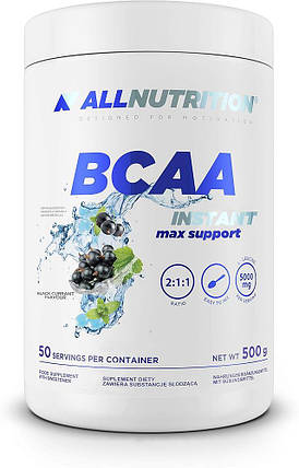 Бцаа инстант AllNutrition BCAA Instant max support 500 г (різні смаки), фото 2