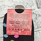 Шкарпетки жіночі високі весна/осінь р.36-40 великий горох асорті ДУКАТ 30039330, фото 4