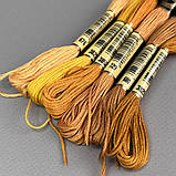 (6 шт по 8м) Набір муліне Airo (нитки для вишивання) - гірчичний мікс (676-3829), фото 3