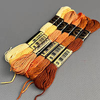 (6 шт по 8м) Набір муліне Airo (нитки для вишивання) - охровий мікс (3823-975)