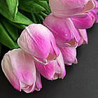 Штучний тюльпан силіконовий "Малиновий", 35 см, фото 2