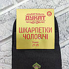 Шкарпетки чоловічі високі весна/осінь р.27-29 асорті з малюнком ЖИТОМИР ДУКАТ, фото 4