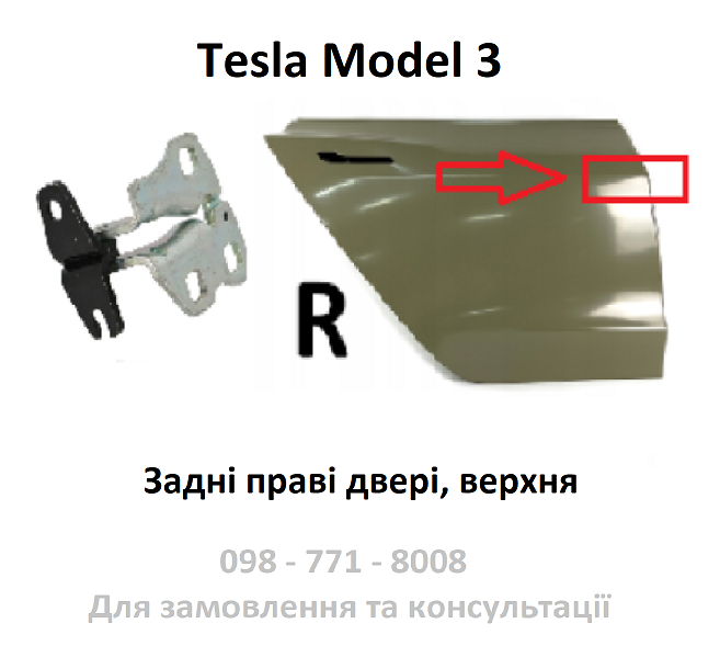 Петля дверей задньої правої верхня Tesla Model 3 (1091332-00-F)