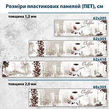 Фото панель універсальна ПЕТ, Самофіксуюча 62 х 205 см (товщина 1,2 мм) Кава з корицею в Парижі, фото 3