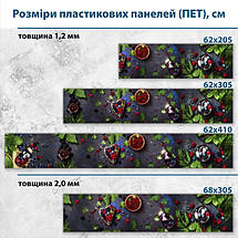 Фото панель універсальна ПЕТ, Самофіксуюча 62 х 205 см (товщина 1,2 мм) лісові ягоди з гілочками м'яти, фото 3