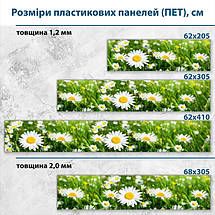 Фото панель універсальна ПЕТ, Самофіксуюча 62 х 205 см (товщина 1,2 мм) польові ромашки, фото 3