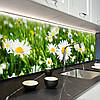 Фото панель універсальна ПЕТ, Самофіксуюча 62 х 205 см (товщина 1,2 мм) польові ромашки, фото 8