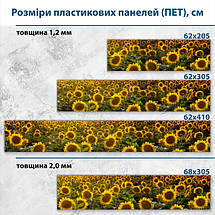 Фото панель універсальна ПЕТ, Самофіксуюча 62 х 205 см (товщина 1,2 мм) поле з соняхами, фото 3
