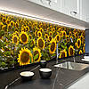 Наклейка на кухонний фартух 60 х 200 см, з захисною ламінацією, поле з соняхами, фото 8