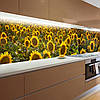 Наклейка на кухонний фартух 60 х 200 см, з захисною ламінацією, поле з соняхами, фото 7