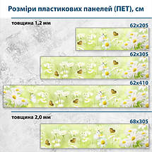 Фото панель універсальна ПЕТ, Самофіксуюча 62 х 205 см (товщина 1,2 мм) ніжні ромашки з метеликами, фото 2