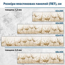 Фото панель універсальна ПЕТ, Самофіксуюча 62 х 205 см (товщина 1,2 мм) коричневі кульбаби з краплями роси, фото 2