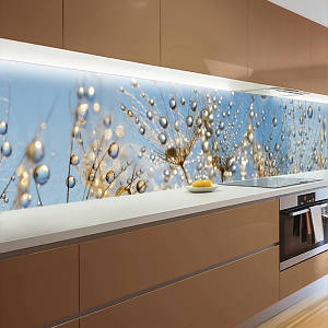 Фото панель універсальна ПЕТ, Самофіксуюча 62 х 205 см (товщина 1,2 мм) коричневі кульбаби з краплями роси на ніжно-голубому фоні