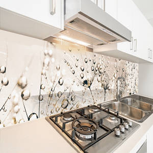 Фото панель універсальна ПЕТ, Самофіксуюча 62 х 205 см (товщина 1,2 мм) павутинка з кульбаб з краплями роси