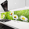 Фото панель універсальна ПЕТ, Самофіксуюча 62 х 205 см (товщина 1,2 мм) білі ромашки серед зеленої трави, фото 7