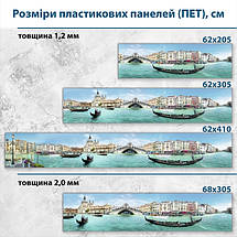 Фото панель універсальна ПЕТ, Самофіксуюча 62 х 205 см (товщина 1,2 мм) Місто на воді, фото 2