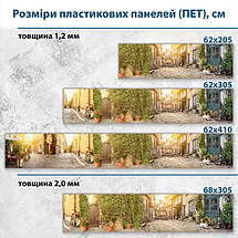 Фото панель універсальна ПЕТ, Самофіксуюча 62 х 205 см (товщина 1,2 мм) літні вулиці міста, фото 3
