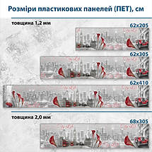 Фото панель універсальна ПЕТ, Самофіксуюча 62 х 205 см (товщина 1,2 мм) Міське життя, фото 3