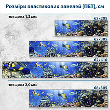 Фото панель універсальна ПЕТ, Самофіксуюча 62 х 205 см (товщина 1,2 мм) Підводний світ з яскравими рибками, фото 3