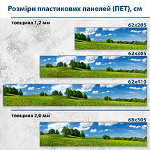 Фото панель універсальна ПЕТ, Самофіксуюча 62 х 205 см (товщина 1,2 мм) поле одуванчиків, фото 3