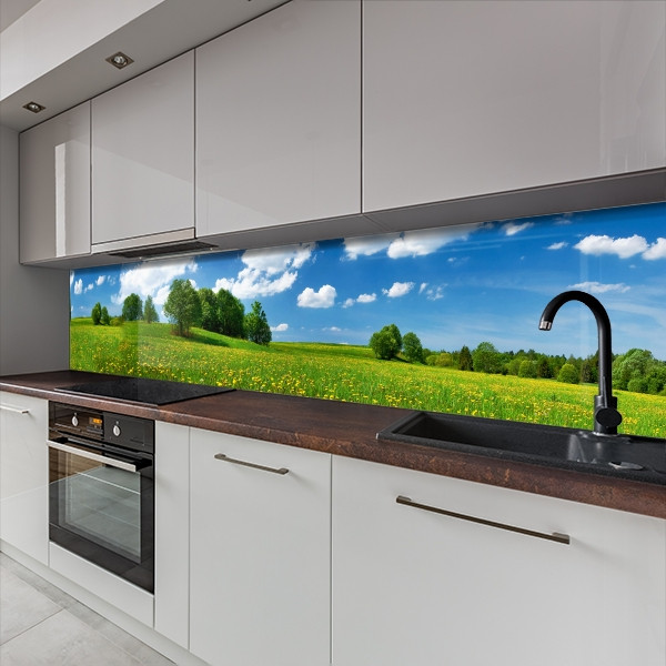 Наклейка на кухонний фартух 60 х 200 см, з захисною ламінацією, поле одуванчиків
