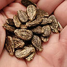 Кавун Холодок (зберігається) 10 шт (zip-paket), фото 4