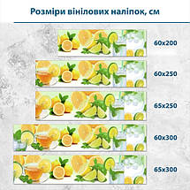 Наклейка на кухонний фартух 60 х 200 см, з захисною ламінацією, Чай з цитрусами, фото 3