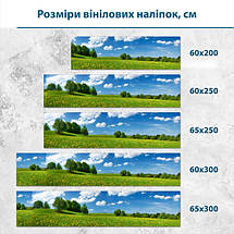 Наклейка на кухонний фартух 60 х 200 см, з захисною ламінацією, поле одуванчиків, фото 3
