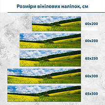 Наклейка на кухонний фартух 60 х 200 см, з захисною ламінацією, Гірська галявина кульбабок, фото 3