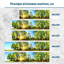 Наклейка на кухонний фартух 60 х 200 см, з захисною ламінацією, сонячні промені серед дерев, фото 3