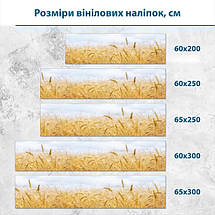 Наклейка на кухонний фартух 60 х 200 см, з захисною ламінацією, поле пшениці та небо, фото 3