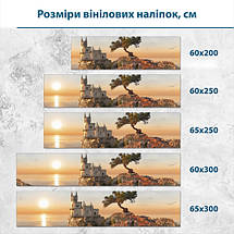 Наклейка на кухонний фартух 60 х 200 см, з захисною ламінацією, ластівчине гніздо, фото 3