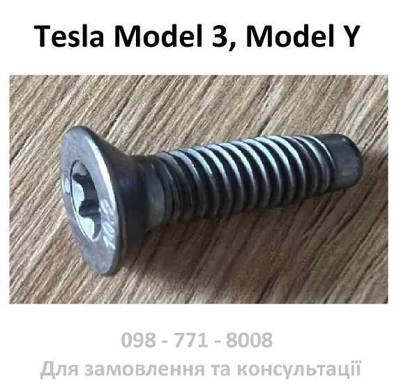 Болт петлі замка дверей FC, M8x20 ,STL 109, ZNNI, MAT Tesla Model 3, Model Y