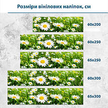 Наклейка на кухонний фартух 60 х 200 см, з захисною ламінацією, польові ромашки, фото 3
