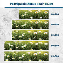 Наклейка на кухонний фартух 60 х 200 см, з захисною ламінацією, ромашки в полі, фото 3